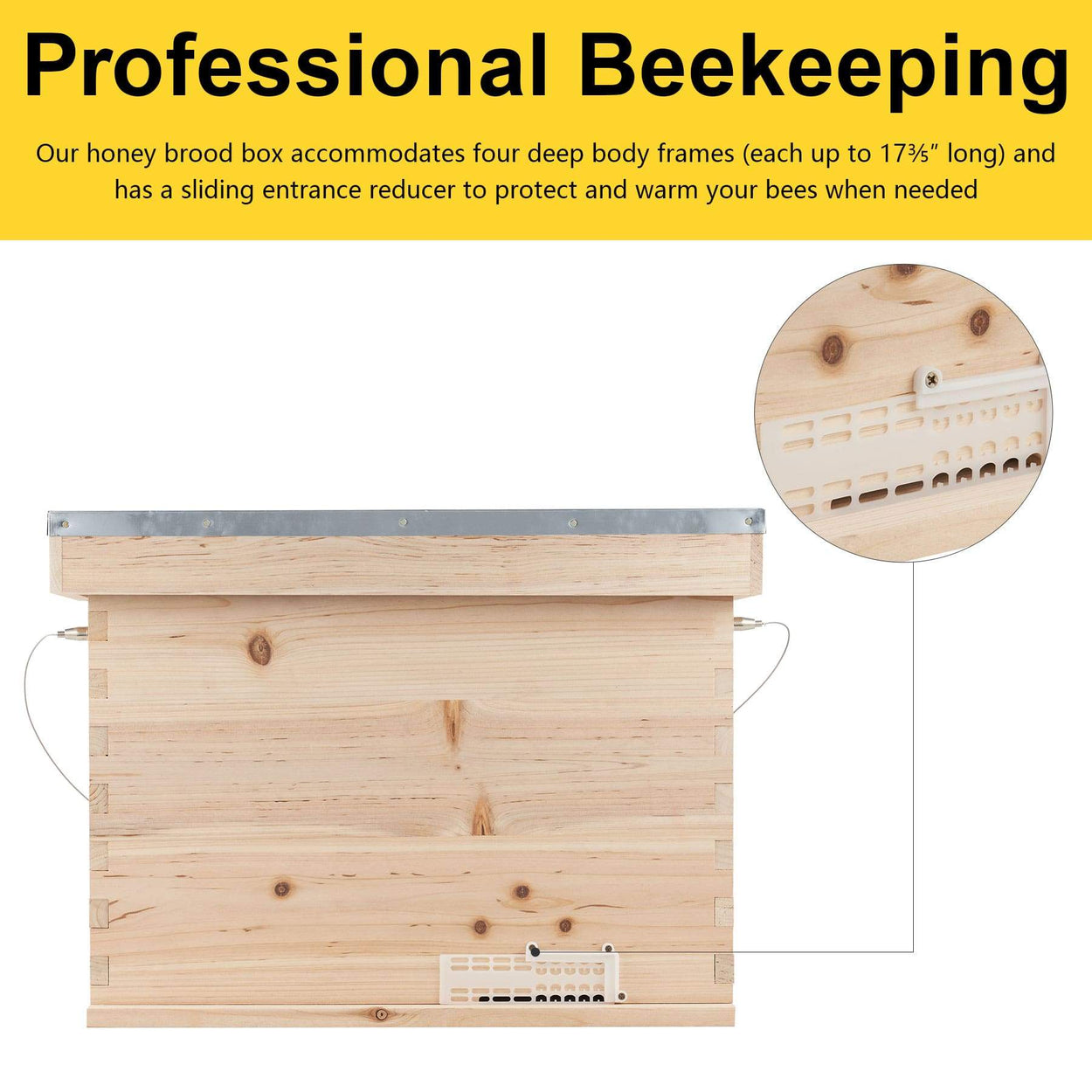 Brood Box