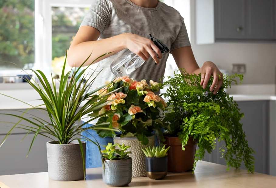 Distilled Water for Plants: When to Use It & When to Avoid It