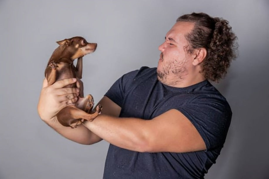 why dog stinking after bath