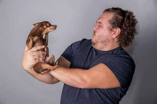 why dog stinking after bath