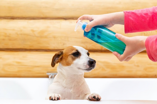 Path to Safe Pet Bathing