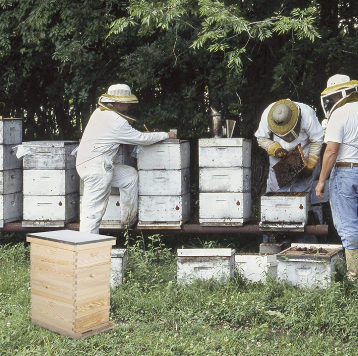 How to Assemble Your Beehive Box