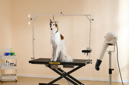 How to Use a Dog Grooming Table