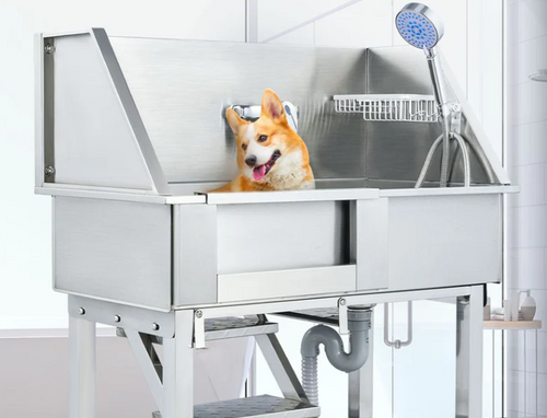 Why Dog Bathing Stations Are Worth It for Your Home