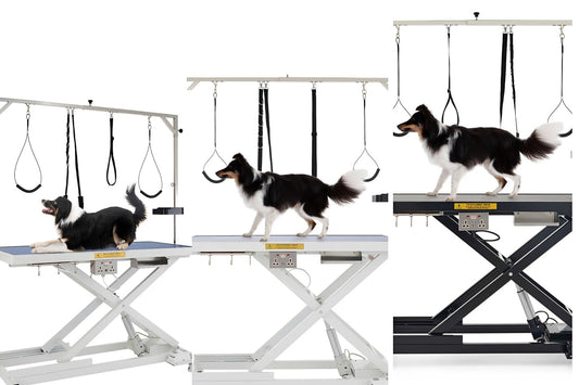Dog Grooming Table Sizes Explained