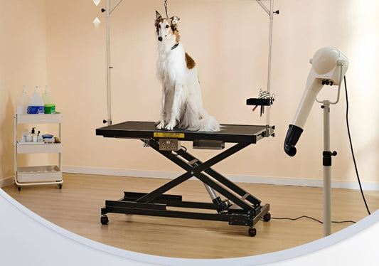 How to Use a Dog Grooming Table
