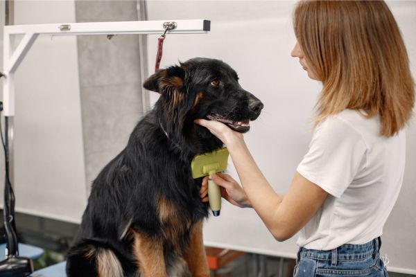 what is hand stripping in dog grooming?