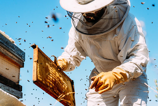 Beekeeping Frames