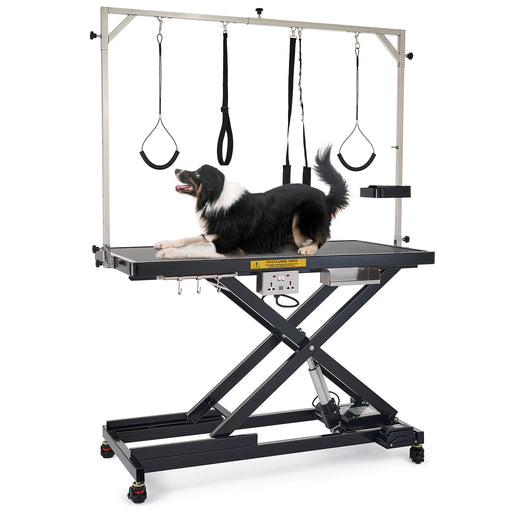 Heavy Duty Electric Dog Grooming Table with Adjustable Height