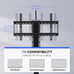 CO-Z Motorized TV Lift