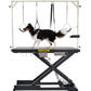 Heavy Duty Electric Dog Grooming Table with Adjustable Height