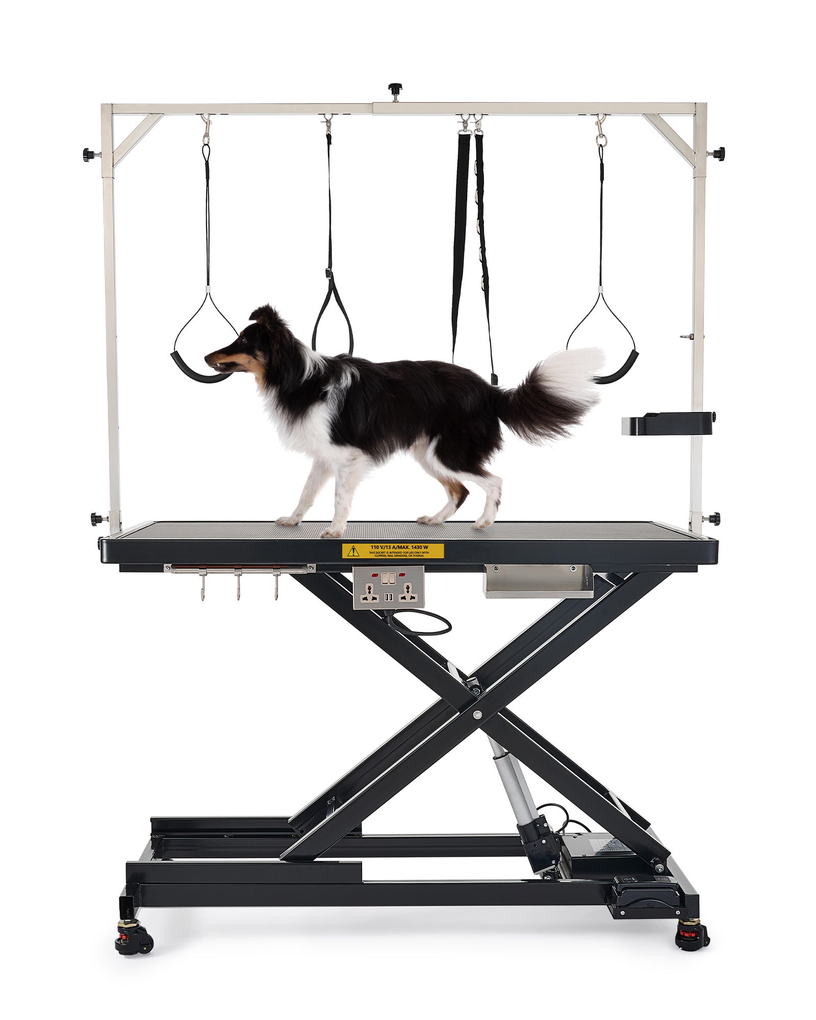 Heavy Duty Electric Dog Grooming Table with Adjustable Height