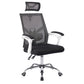 CO-Z Ergonomic Mesh Office Chair, High Back with Adjustable Headrest, Armrests & Lumbar Support, Black