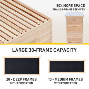     bee-boxes-and-frames-starter-kit