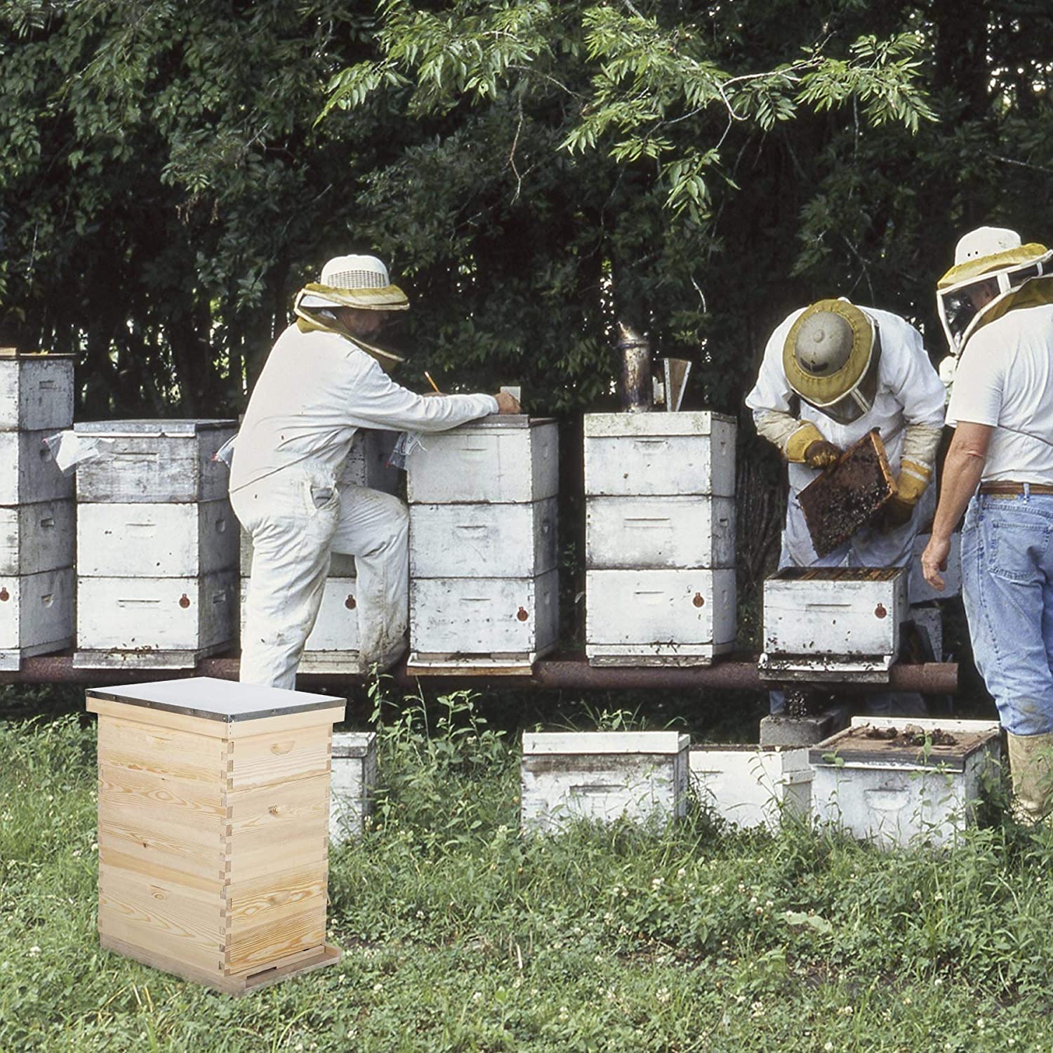 30-Frame Langstroth Beehive with 10 Medium & 20 Deep