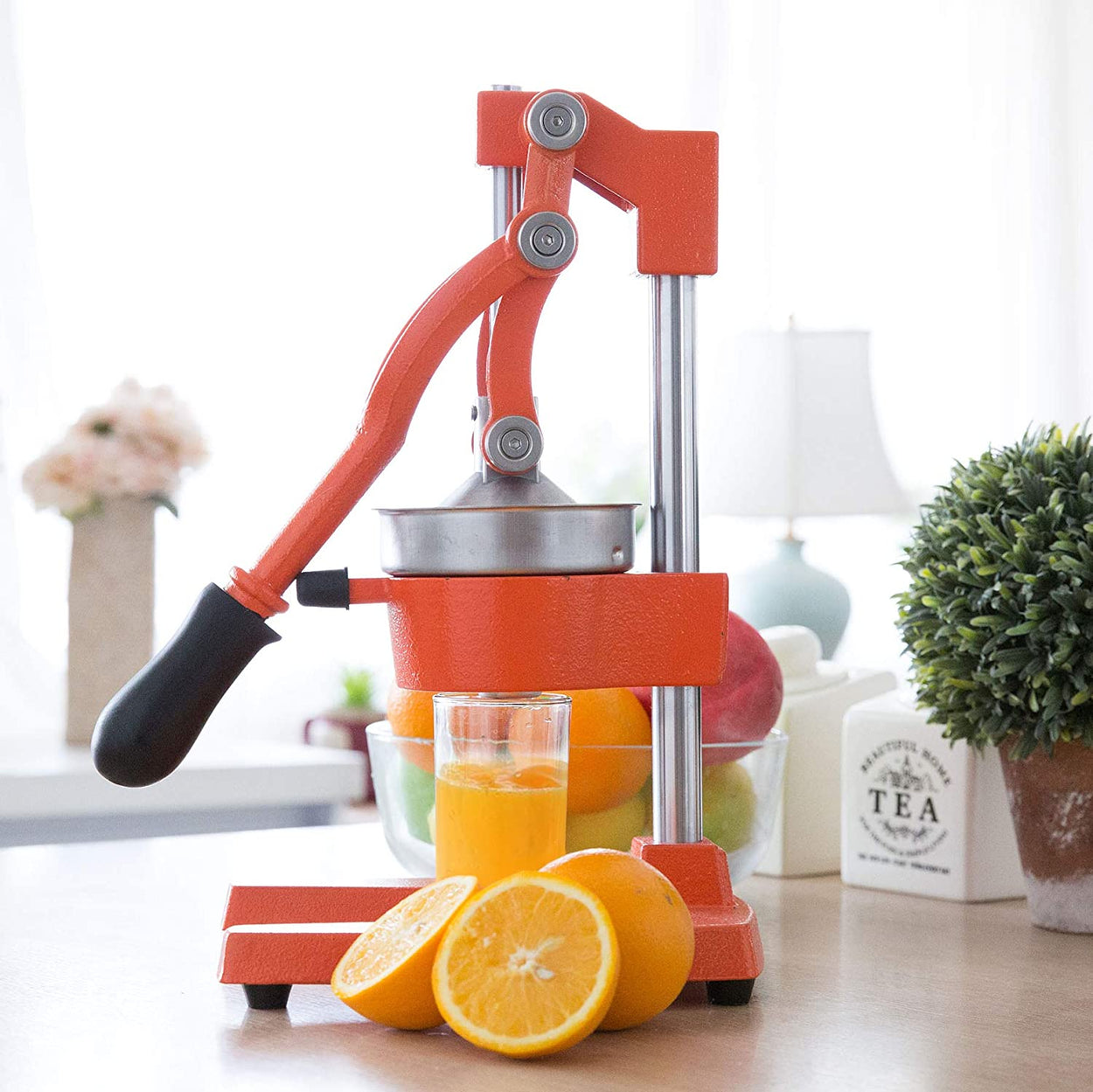 CO-Z Commercial Grade Citrus Juicer  (Orange)