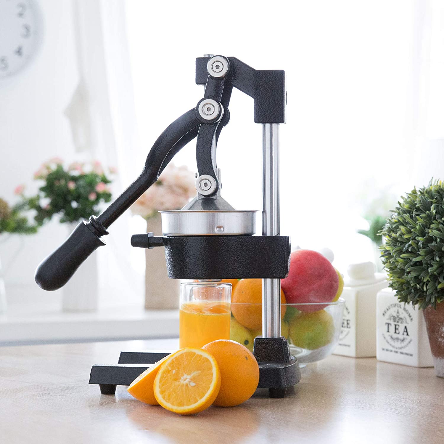 CO-Z Commercial Grade Citrus Juicer  (Black)