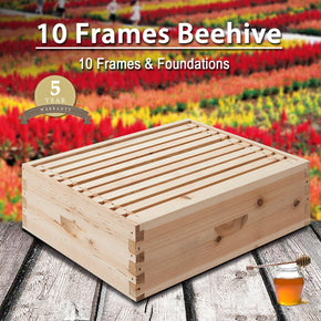 10 Frame Beehives Medium Box w/Frames - Kaiezen