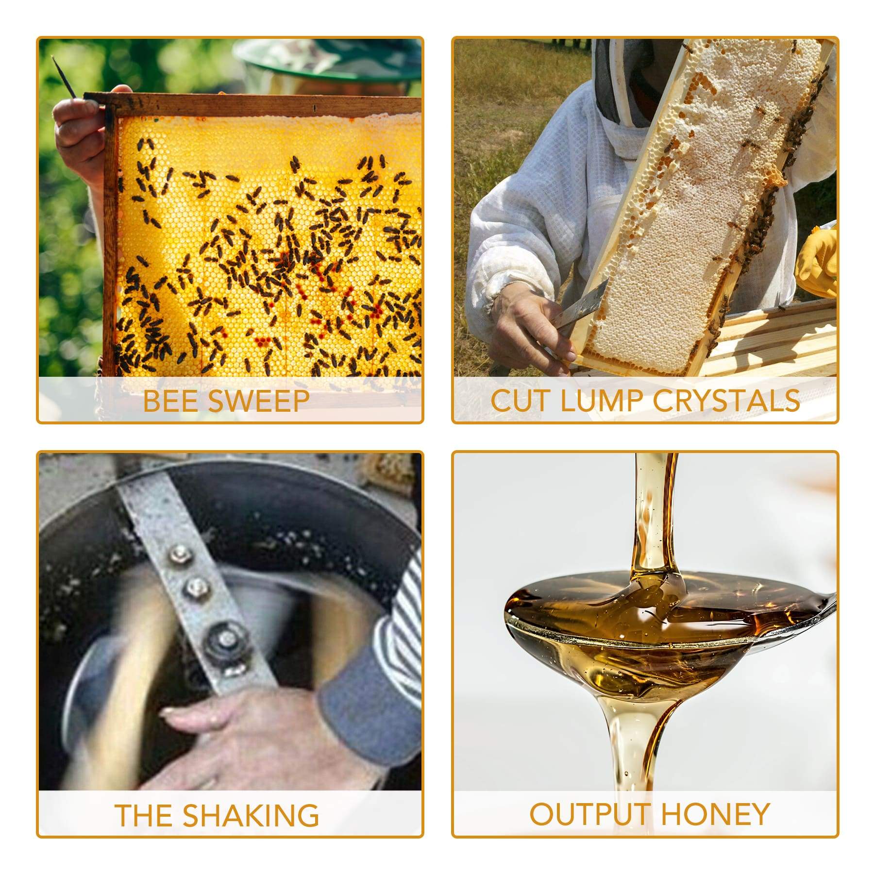 3-Frame Electric Honey Extractor, Bee Frame Spinner