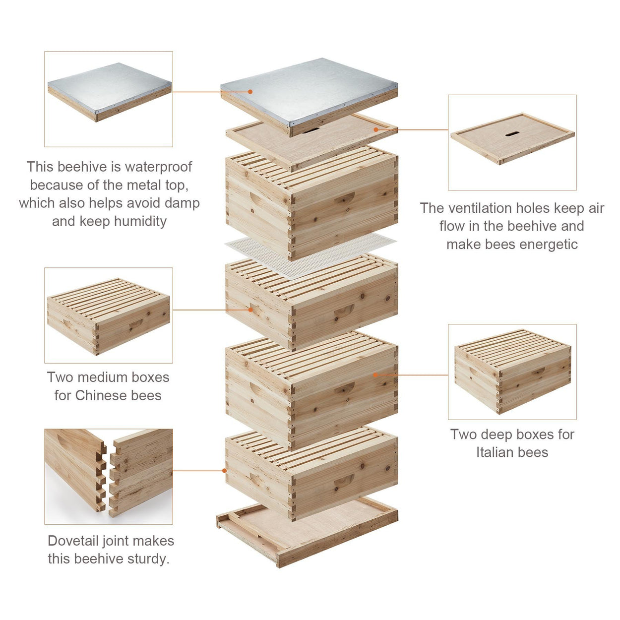 40-Frame, 4 Tier Langstroth Beehive for Beekeeping - Kaiezen