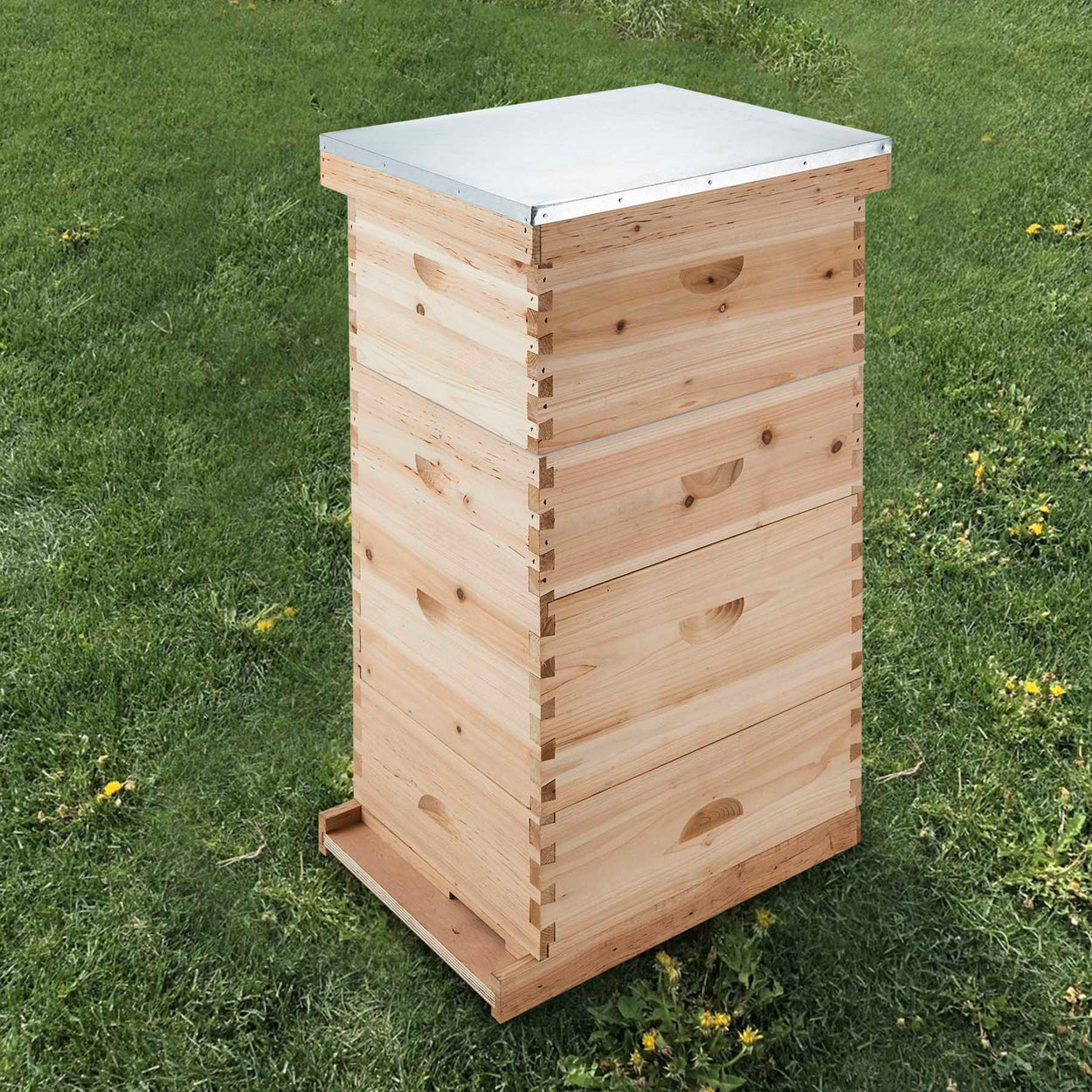 40-Frame, 4 Tier Langstroth Beehive for Beekeeping - Kaiezen