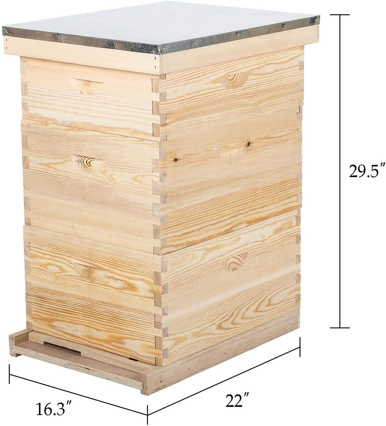 Honey Bee hives